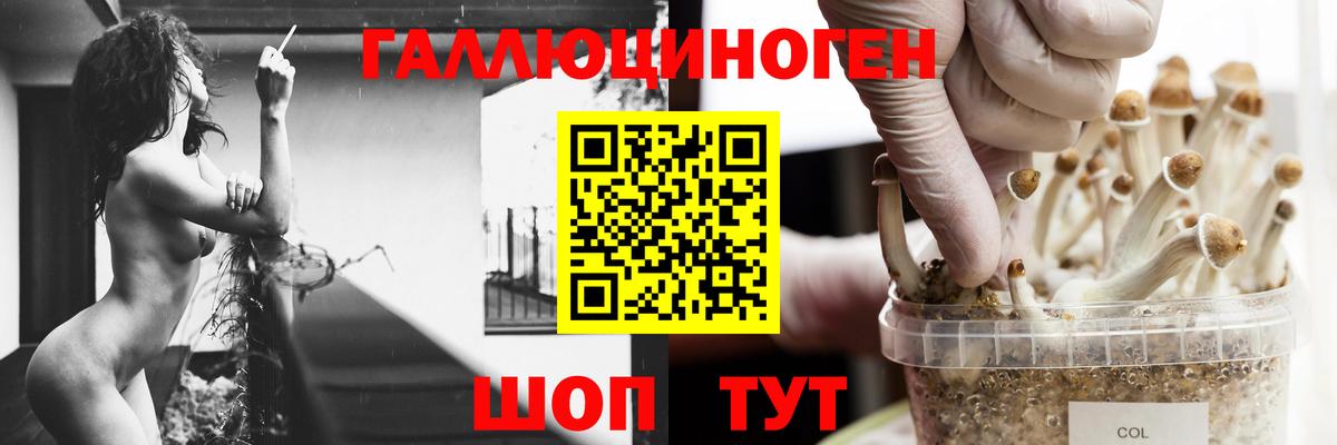 Галлюциногенные грибы Magic Shrooms Химки